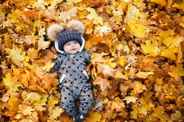 Bebê Sorridente Deitado Parque Outono Com Colorido Folhas Bordo Imagens Royalty-Free