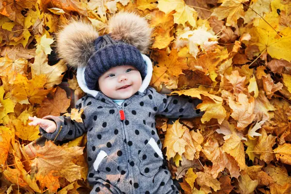 Nettes Baby Das Herbstblättern Liegt Lächelndes Baby Liegt Herbstpark Mit Stockfoto