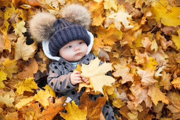 Lächelndes Baby Liegt Herbstpark Mit Bunten Ahornblättern Stockbild