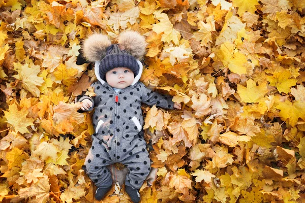 Lächelndes Baby Liegt Herbstpark Mit Bunten Ahornblättern lizenzfreie Stockbilder