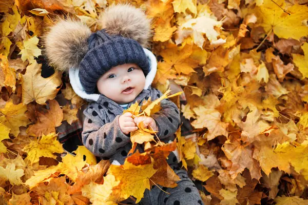 Nettes Baby Das Herbstblättern Liegt Lächelndes Baby Liegt Herbstpark Mit Stockfoto