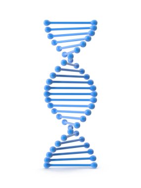 DNA çift sarmalı modeli