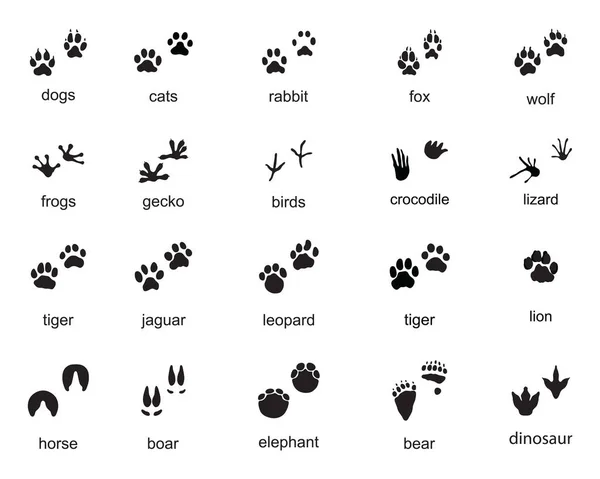 Set Footprints Wild Animals Illustration Black Silhouette — Stock Vector