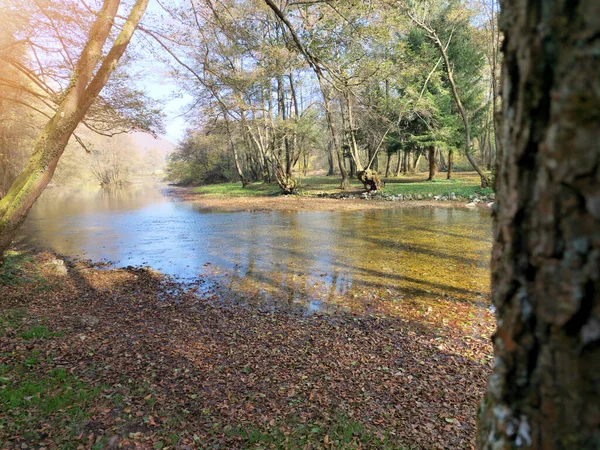 Rzeka Jesiennym Lesie — Zdjęcie stockowe