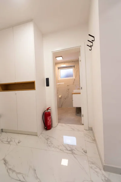 Luxus Minimalista Fürdőszoba Modern Villában — Stock Fotó