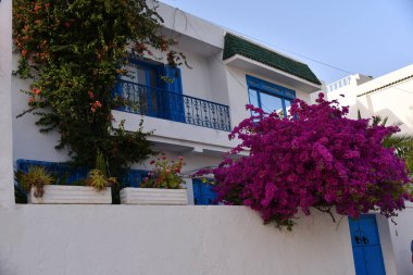 Beyaz-mavi şehir Sidi Bou Said, Tunus. Fransız tılsımlı Doğu Masalı