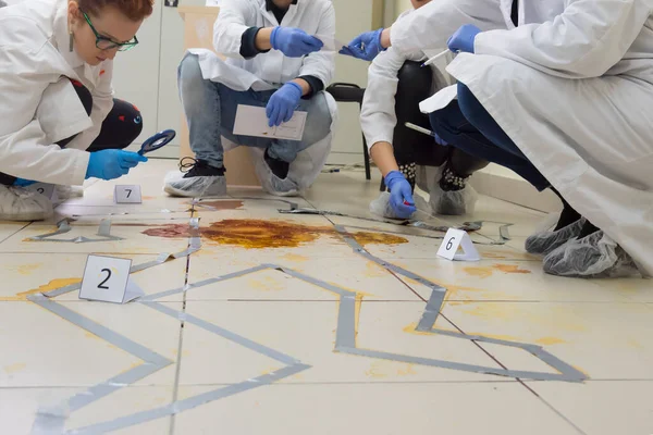 Criminological expert collecting evidence at the crime scene. Law and police concept. Forensic investigation