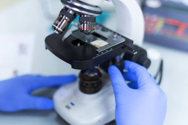 Modern genetik laboratuvarında test analizi için mikro pipeti kullanan bir araştırmacı.