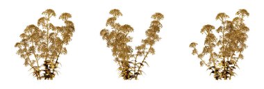 Bizim muhteşem 3D grafiklerimizle, projelerinize biraz lüks ekleyebilirsiniz. Herhangi bir projeye klas ve sıcak bir dokunuş sunmak için mükemmel bir yol.