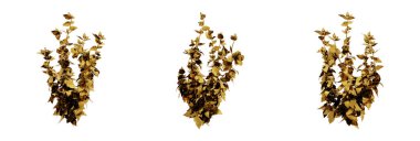 Bizim muhteşem 3D grafiklerimizle, projelerinize biraz lüks ekleyebilirsiniz. Herhangi bir projeye klas ve sıcak bir dokunuş sunmak için mükemmel bir yol.