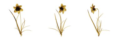 Bizim muhteşem 3D grafiklerimizle, projelerinize biraz lüks ekleyebilirsiniz. Herhangi bir projeye klas ve sıcak bir dokunuş sunmak için mükemmel bir yol.