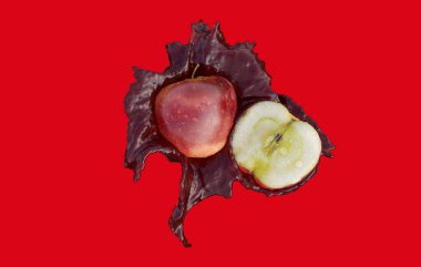 Ticari ve tasarım amacı için Red Apple 'ın gerçekçi 3D yorumlaması