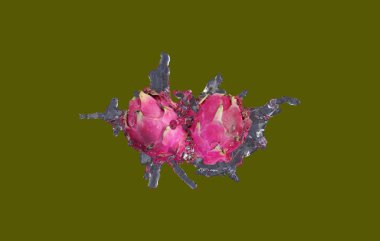 Dragon Fruit 'un gerçekçi 3D yorumlaması ticari ve tasarım amacı için en iyisi.