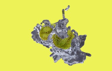 Ticari ve tasarım amacı için Durian 'ın en iyi 3D canlandırması