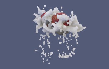 Ticari ve tasarım amaçları için Lychee Fruit 'in gerçekçi 3D yorumlaması