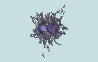 Ticari ve tasarım amacı için en iyi erik meyvesinin gerçekçi 3D yorumlaması