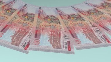 Antigua & Barbuda 'nın Büyüleyici Döngü Tasarımı 20 Dolar Curency