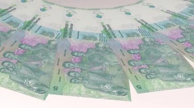 Neşeli Döngü Tasarımı Arjantin 'in 5 Pezosu