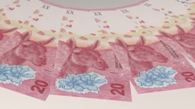 Neşeli Döngü Tasarımı Arjantin 'in 20 Pezosu
