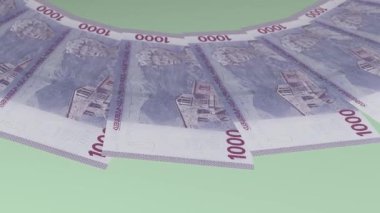 Parıldayan Döngü Tasarımı Ermenistan 'ın 1000 Dram İyileştiriciliği