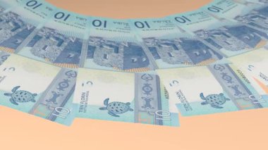 Olağanüstü Döngü Tasarımı 10 Florin Aruba Curency