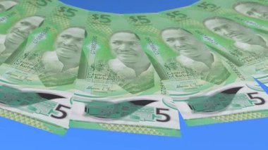 Parlak Döngü Tasarımı Barbados 'un 5 Dolarlık Curency