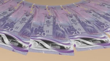 Parlak Döngü Tasarımı Barbados 'un 20 Dolarlık Curency' si