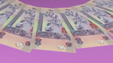Beneksiz Döngü Tasarımı Belize 'nin 2 Dolar Kuraklığı