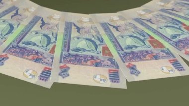 Beneksiz Döngü Tasarımı Belize 'nin 100 Dolarlık Curency