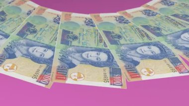 Beneksiz Döngü Tasarımı Belize 'nin 100 Dolarlık Curency