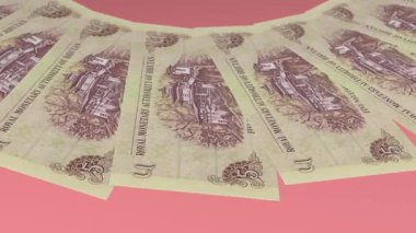 Klas Döngü Tasarımı 5 Ngultrum Bhutan Curency