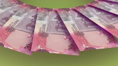 Büyüleyici Döngü Tasarımı Botswana 'nın 20 Pula Curency' si