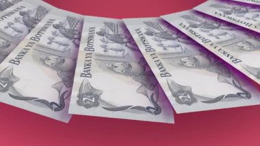 Botswana 'nın Büyüleyici Döngü Tasarımı 2 Pula Curency