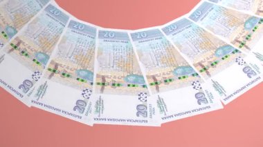 Bulgaristan 'ın Hoş Döngü Tasarımı 20 Lev Curency