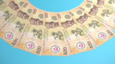 Dekoratif Döngü Tasarımı Brunei Darussalam 'ın 20 Ringgit Curency