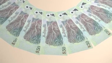 Brunei Darussalam 'ın Dekoratif Döngü Tasarımı 50 Ringgit Curency