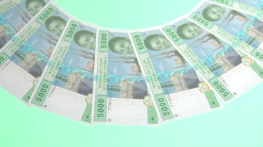 Grace Döngüleme Tasarımı Orta Afrika Cumhuriyeti 'nin 5000 CFA Franc Curency