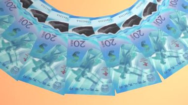 Hayali Döngü Tasarımı Çin 'in 20 Yuan Renminbi Curency