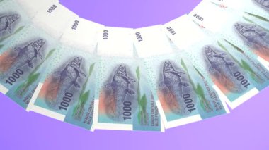 Canlandırıcı Döngü Tasarımı Komoroların 1000 Frank Kuraklığı