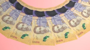 Güzel Döngü Tasarımı Kosta Rika 'nın 5000 Colon Curency' si