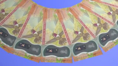 Güzel Döngü Tasarımı 20000 Kosta Rika Kolon Kuraklığı