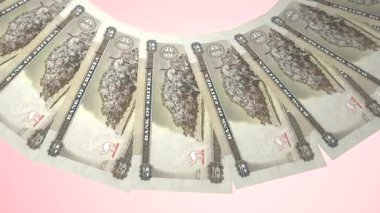 Büyüleyici Döngü Tasarımı 5 Eritre Nakfa Curency