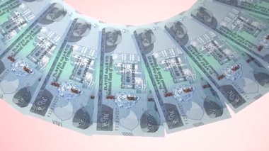 Parlak Döngü Tasarımı: Etiyopya 'nın 100 Birr Curency