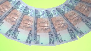 Parlak Döngü Tasarımı: Etiyopya 'nın 100 Birr Curency