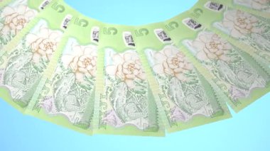 Gösterişli Döngü Tasarımı 5 Fiji Doları Curency of Fiji