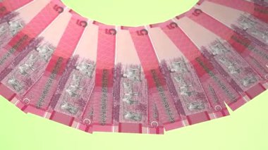 Sevimli Döngü Tasarımı Gambiya 'nın 5 Dalasi Curency