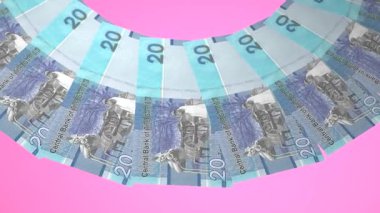 Sevimli Döngü Tasarımı Gambiya 'nın 20 Dalasi Curency