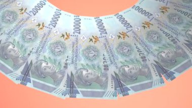 Işıldayan Döngü Tasarımı: Gine 20.000 Gine Kuruşu