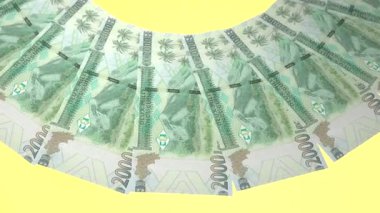 Işıldayan Döngü Tasarımı: Gine 2000 Gine Kuruşu