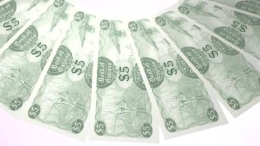 Kusursuz Döngü Tasarımı 5 Guyanese Dolar Kuraklığı Guyana